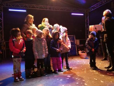 Foto des Albums: Weihnachtsbaumaktion in der Innenstadt