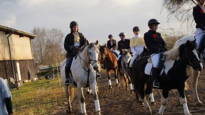 Foto des Albums: Weihnachtsreiten 2017 (22.12.2017)