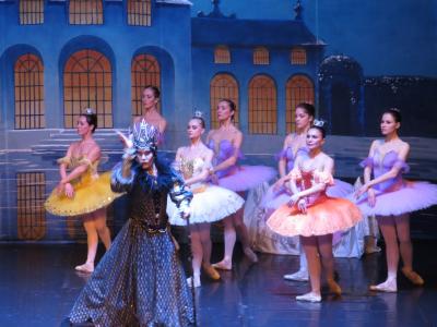 Foto des Albums: Ballett "Dornröschen"