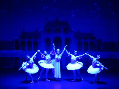 Foto des Albums: Ballett "Dornröschen"