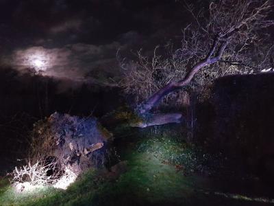 Foto des Albums: Unwetter - Wißmar