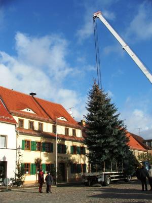 Foto des Albums: Aufstellung Weihnachtsbaum in Uebigau (26. 11. 2007)