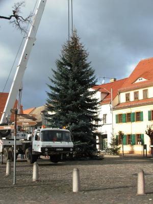 Foto des Albums: Aufstellung Weihnachtsbaum in Uebigau (26. 11. 2007)