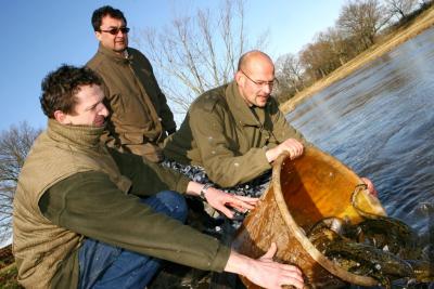 Foto des Albums: Angler setzten Quappen in die Schwarze Elster bei Uebigau (25. 01. 2008)