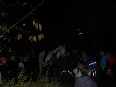 Foto des Albums: Der Martinstag 2017