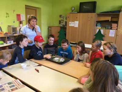 Foto des Albums: Feuerexperimente Klasse 4b