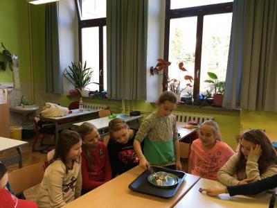 Foto des Albums: Feuerexperimente Klasse 4b