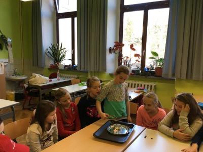 Foto des Albums: Feuerexperimente Klasse 4b