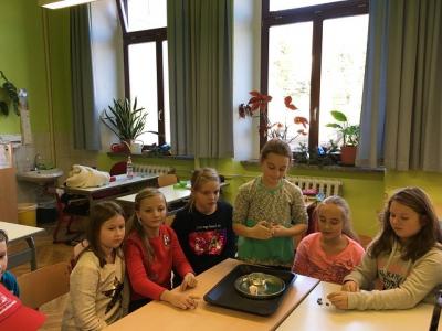 Foto des Albums: Feuerexperimente Klasse 4b