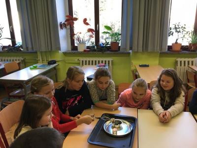 Foto des Albums: Feuerexperimente Klasse 4b