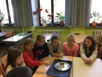 Foto des Albums: Feuerexperimente Klasse 4b