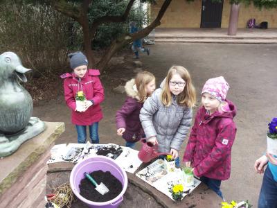Foto des Albums: Fotos der "Betreuung" (2017/2018)