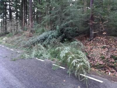 Foto des Albums: Einsatz "Frederike"