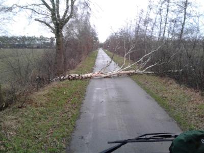 Foto des Albums: Einsatz "Frederike"