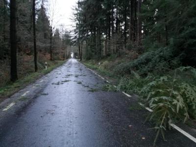 Foto des Albums: Einsatz "Frederike"