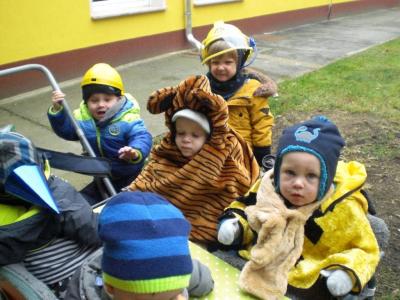 Foto des Albums: Zamperzeit 2018