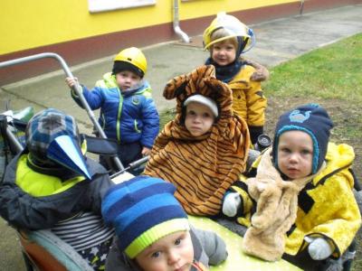 Foto des Albums: Zamperzeit 2018