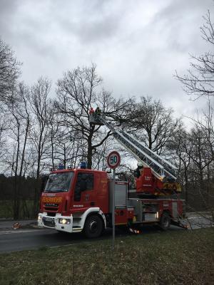 Foto des Albums: 2018_01_21_Baum_Straße