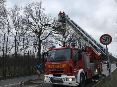 Foto des Albums: 2018_01_21_Baum_Straße