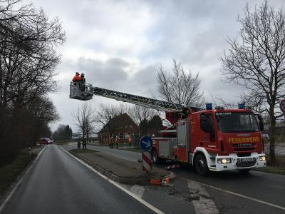 Foto des Albums: 2018_01_21_Baum_Straße