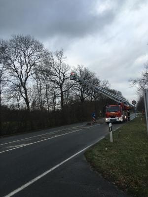 Foto des Albums: 2018_01_21_Baum_Straße