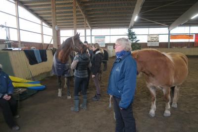 Foto des Albums: Dualaktivierung und Equikinetik (27.01.2018)