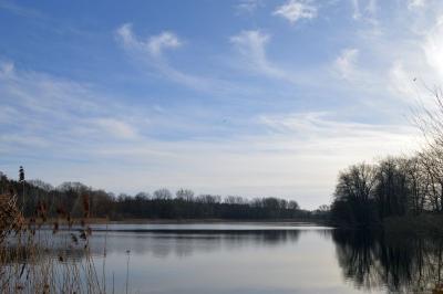 Foto des Albums: Bilder Falkenhagener See im Februar