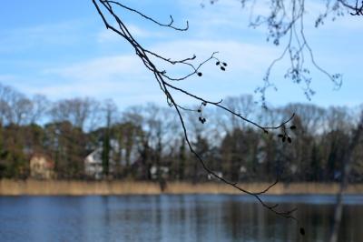 Foto des Albums: Bilder Falkenhagener See im Februar