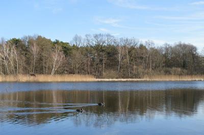 Foto des Albums: Bilder Falkenhagener See im Februar