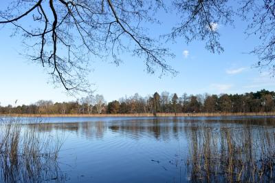 Foto des Albums: Bilder Falkenhagener See im Februar
