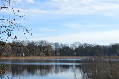 Foto des Albums: Bilder Falkenhagener See im Februar