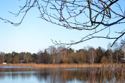 Foto des Albums: Bilder Falkenhagener See im Februar