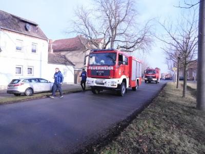 Foto des Albums: Carnevalsumzug im OT Frose 2018