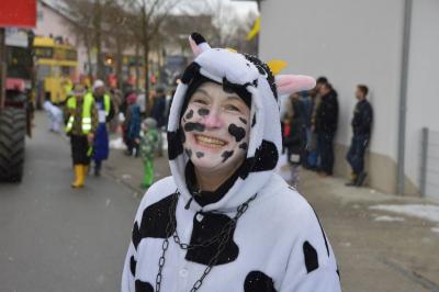 Foto des Albums: Rosenmontagsumzug 2018
