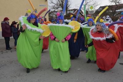 Foto des Albums: Rosenmontagsumzug 2018