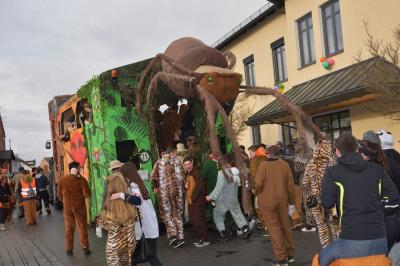 Foto des Albums: Rosenmontagsumzug 2018