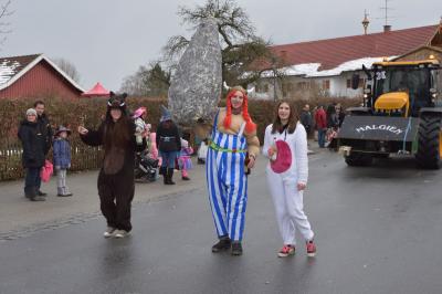 Foto des Albums: Rosenmontagsumzug 2018