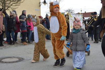 Foto des Albums: Rosenmontagsumzug 2018