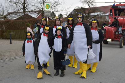 Foto des Albums: Rosenmontagsumzug 2018