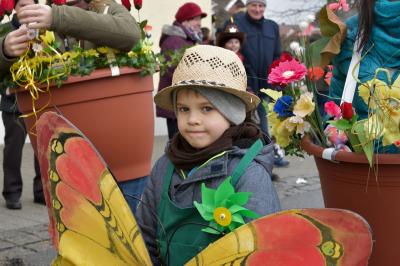 Foto des Albums: Rosenmontagsumzug 2018