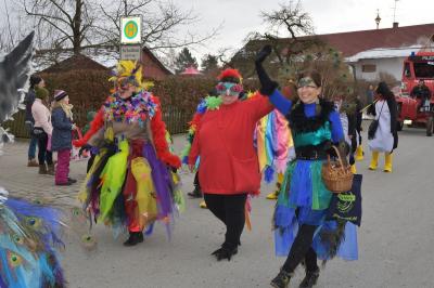 Foto des Albums: Rosenmontagsumzug 2018