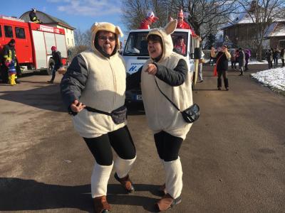 Foto des Albums: Festumzug des SCC