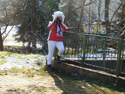 Foto des Albums: Festumzug des SCC