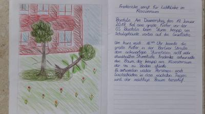 Foto des Albums: Sturmtief Frederike