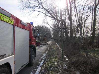 Foto des Albums: Einsatz Baum auf Straße Luller Straße