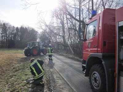 Foto des Albums: Einsatz Baum auf Straße Luller Straße