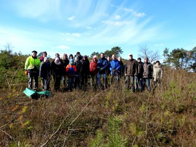 Foto des Albums: Impressionen 2018 aus der Wulmstorfer Heide