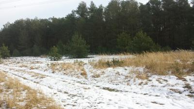 Foto des Albums: Winterimpressionen mit und ohne Schnee in Uebigau-Wahrenbrück (07. 03. 2018)