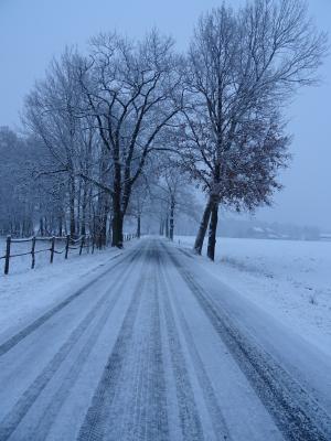 Foto des Albums: Winterimpressionen mit und ohne Schnee in Uebigau-Wahrenbrück (07. 03. 2018)