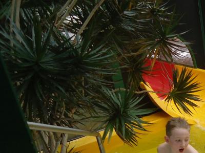 Foto des Albums: Schwimmfest